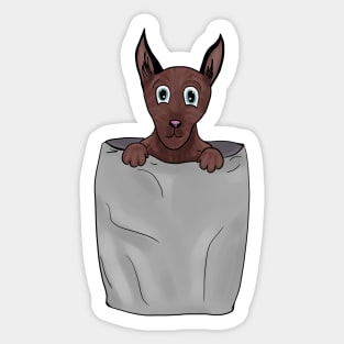 Dog in pocket Sticker